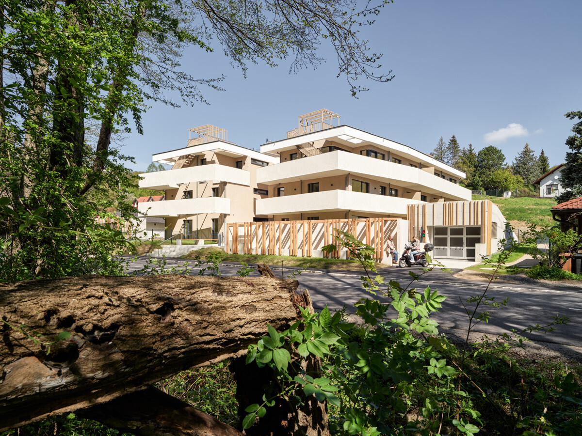 Wohnen im fertig gestellten Green Living Projekt mit Luft-Wärme-Pumpe - zu kaufen in 2391 Kaltenleutgeben
