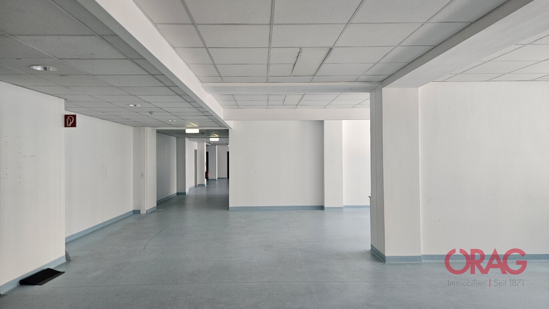 Modernes Büro im 5. Stock  in der nähe vom Belvedere-Garten- 1030 Wien- zu mieten