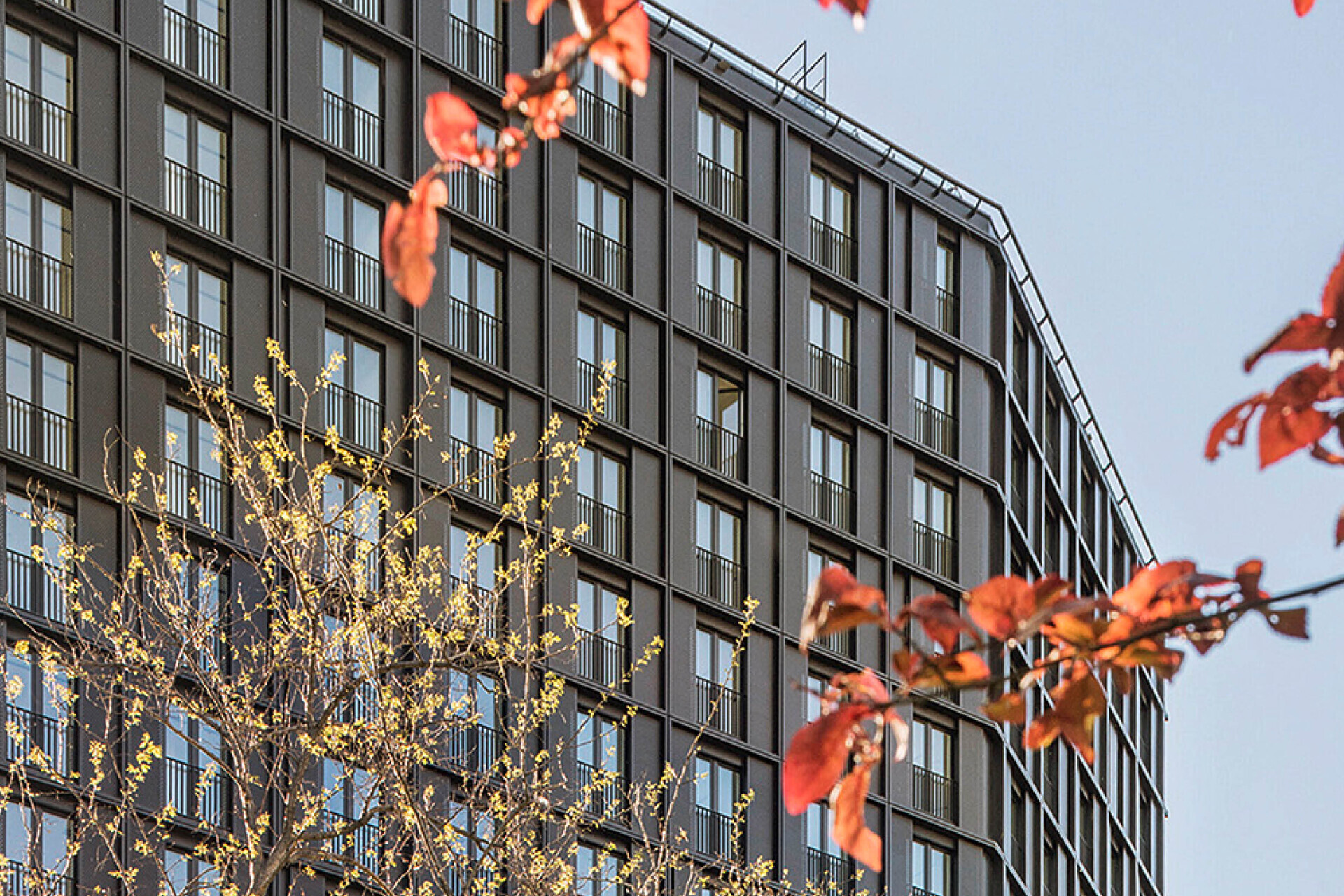 Erstbezug in den DC Flats: 1,5-Zimmer Erdgeschoßwohnung mit Terrasse – zu mieten in 1220 Wien