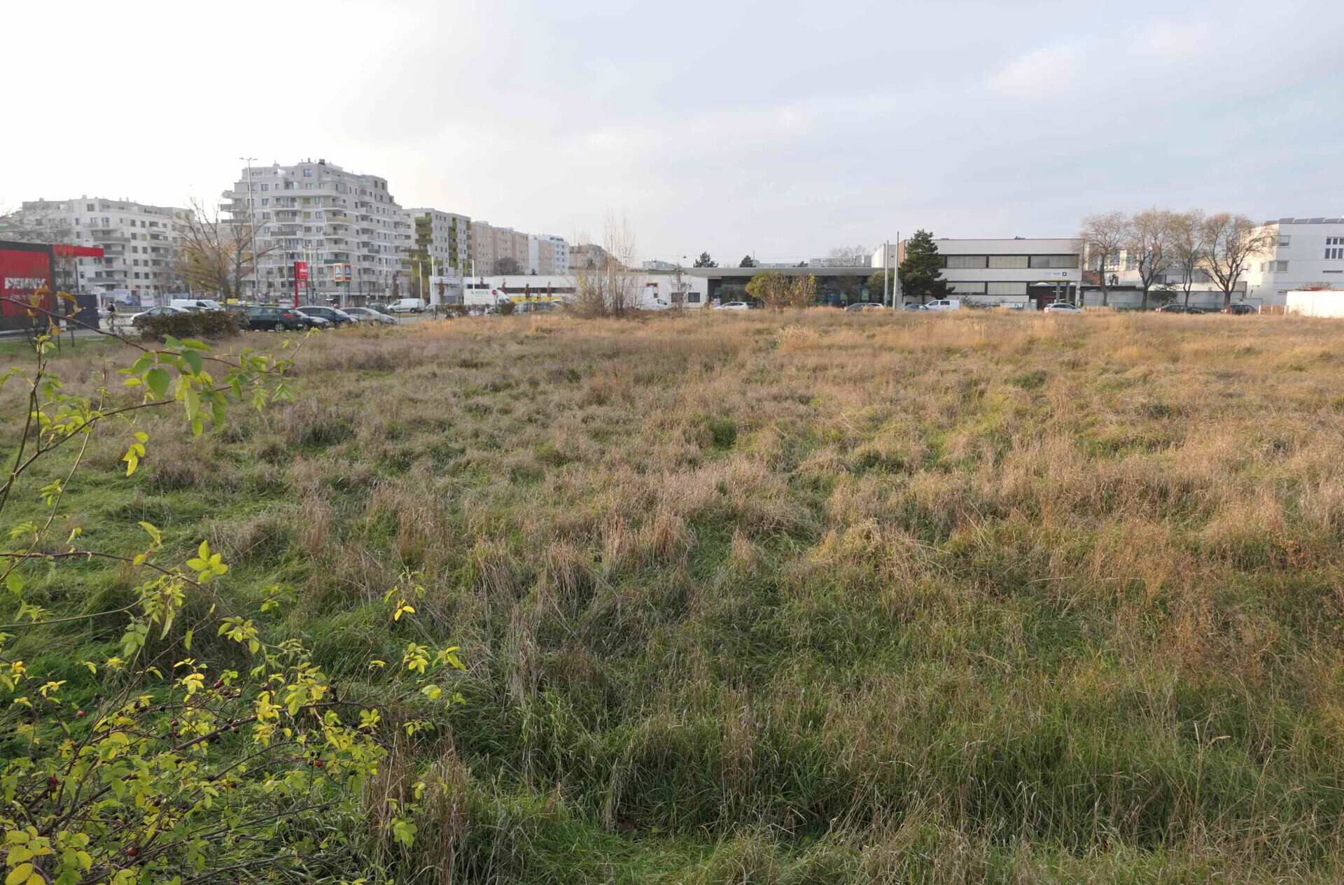 Großzügiges unbebautes Grundstück in 1220 Wien