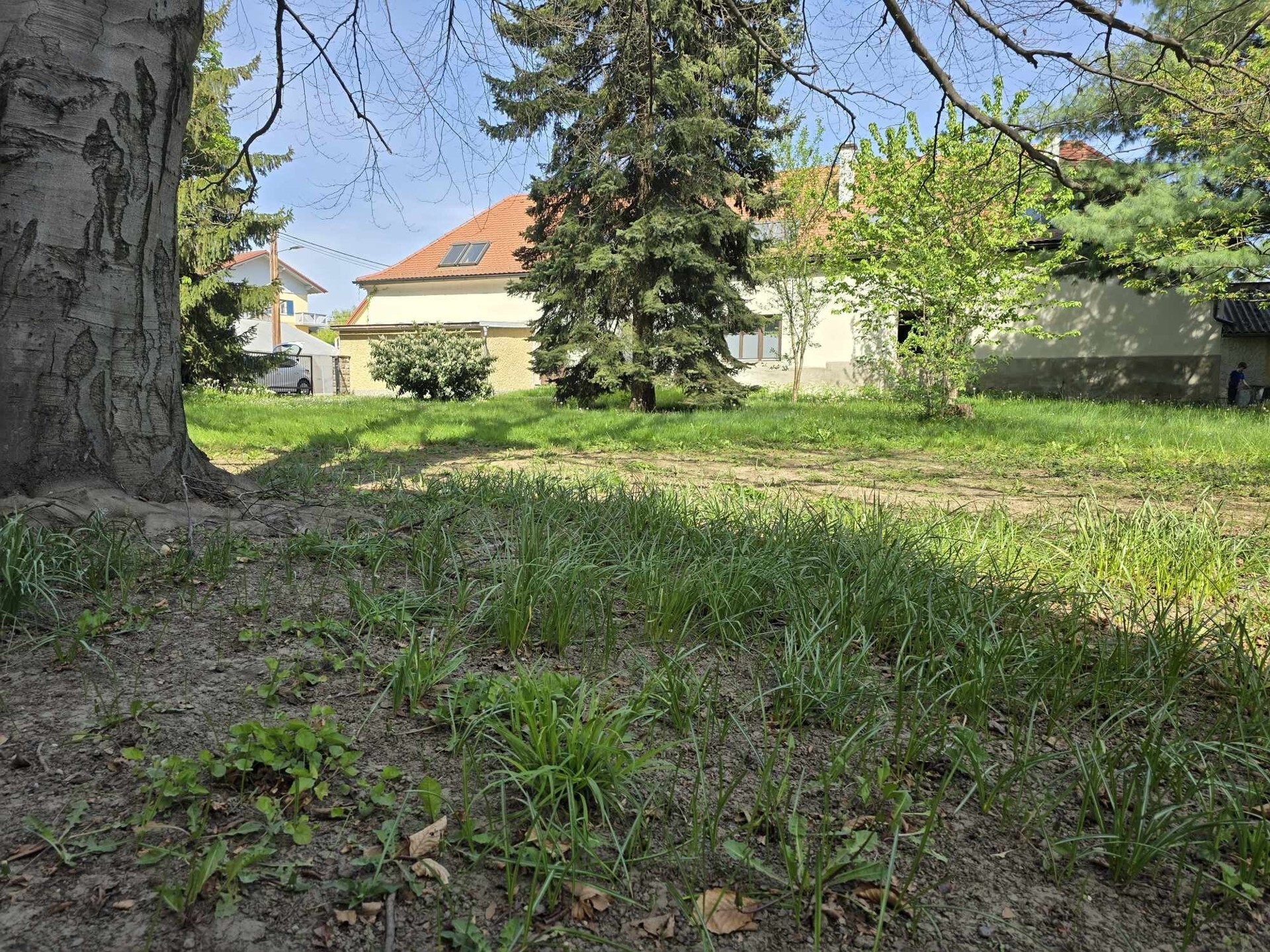 BAUGRUNDSTÜCK - SEHR GUTE LAGE - MIT GUTER ANBINDUNG - 8041 GRAZ
