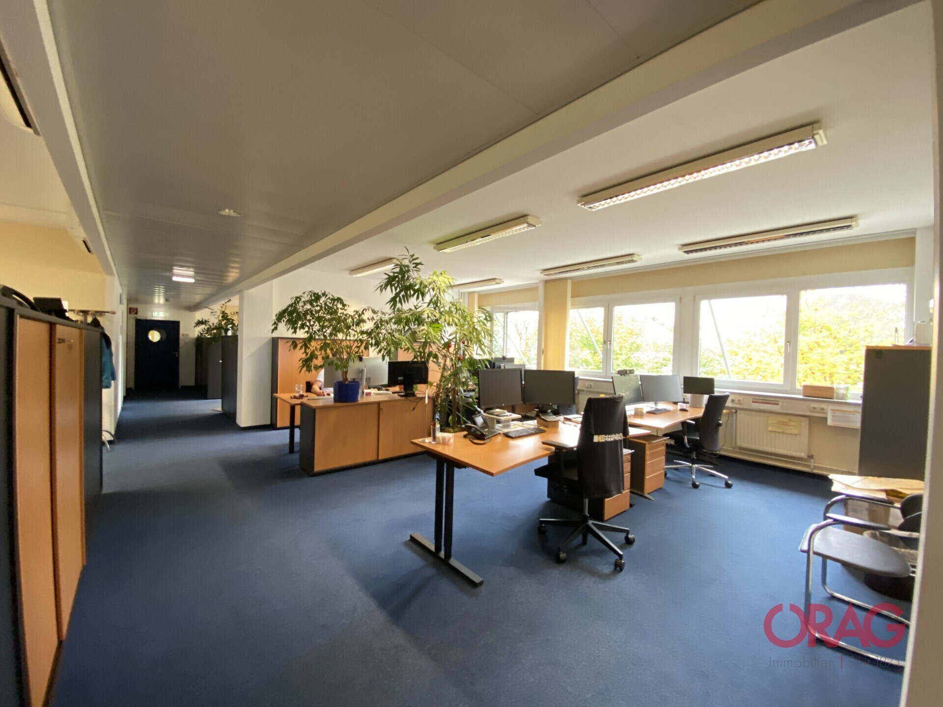Schöne und zugleich preiswerte Bürofläche in etabliertem Gewerbepark zu mieten - 5020 Salzburg