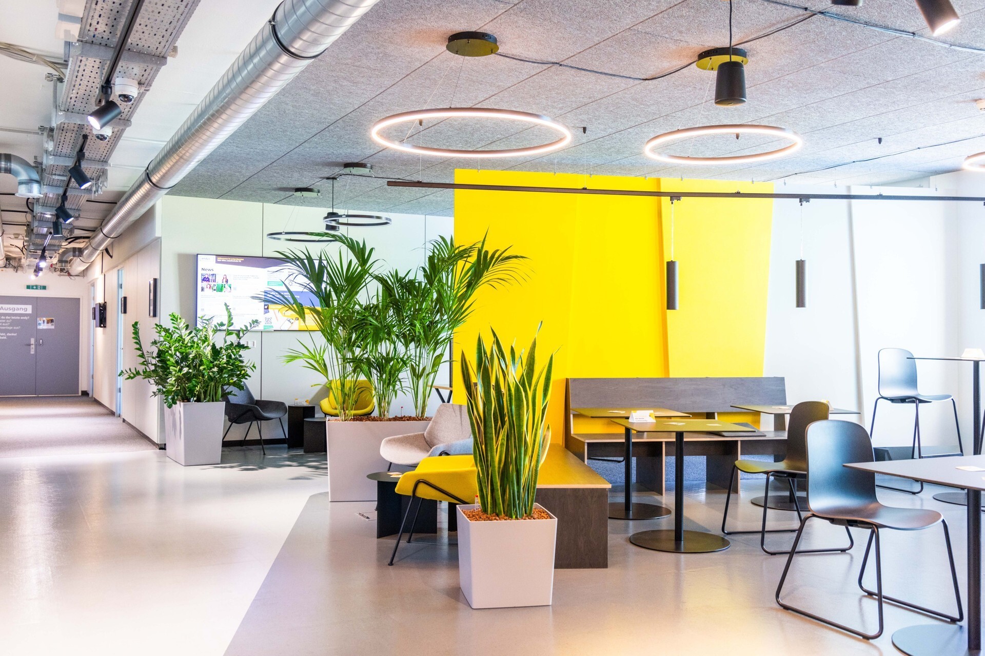 Office space and co-working in 1020 - for rent