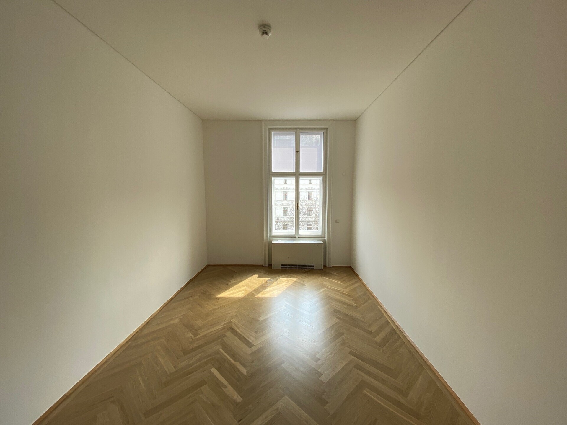 Büroflächen in absoluter Bestlage, 1010 Wien